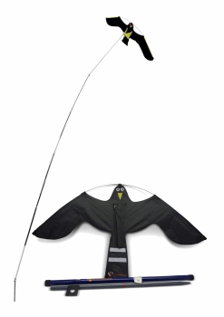 Black Hawk Kite. 12m hoog.