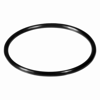 O-ring voor reservoir Mini Fogger