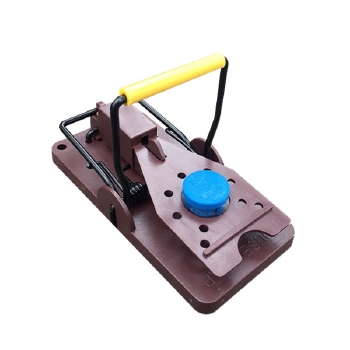 Gorilla Mouse  trap 1st.