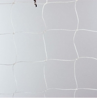 Bird Net 50mm Translucent 20m x 20m
