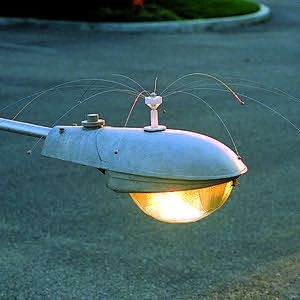 Daddi long legs 8 2,6 m diameter