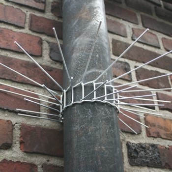 Marter wering / kattenwering in galvanisédraad.
