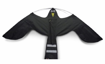 Black Hawk Kite. Enkel de vlieger.