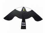 Black Hawk Kite