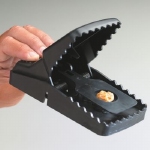 T-Rex rattenklem 1st