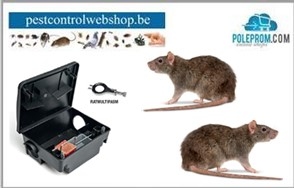 Rattenlokaasdozen