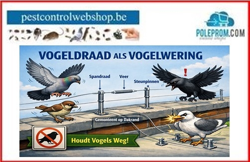 Vogeldraad