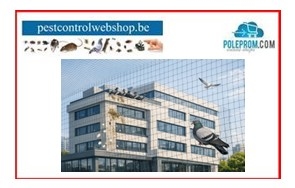 Vogelnetten
